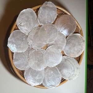 Capiz Shells,46 total for jewelry making crafts,decorations.White,blue,green .